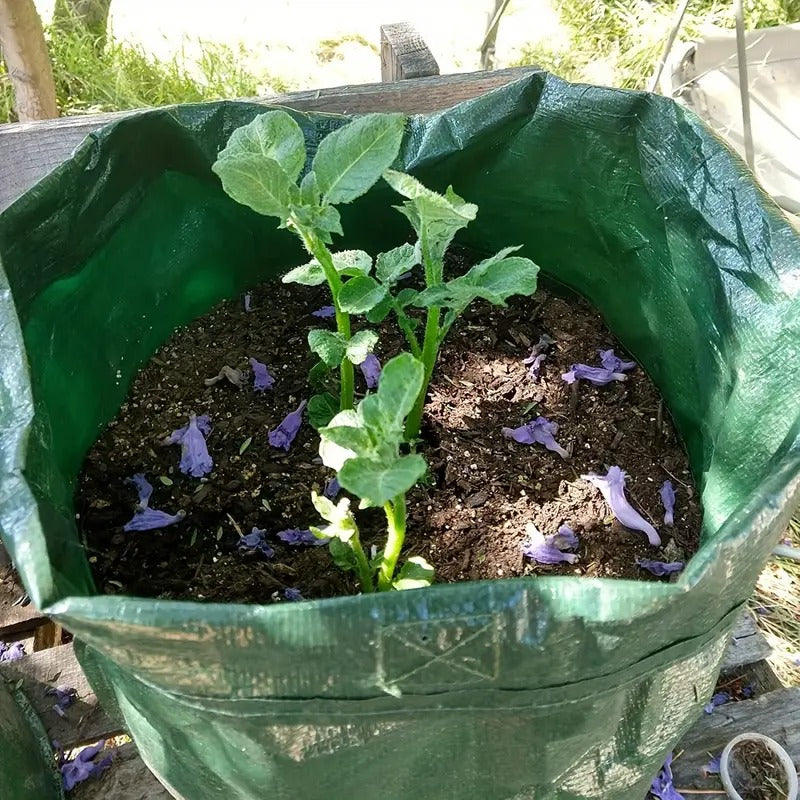 4 Pcs Garden Bags with Window & Handle