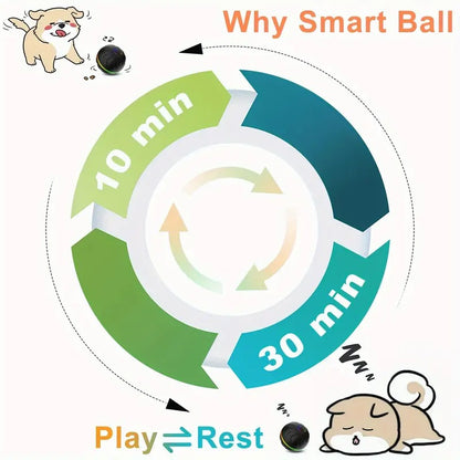 Motion-Activated Dog Bouncing Ball