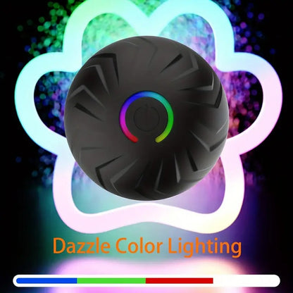 Motion-Activated Dog Bouncing Ball