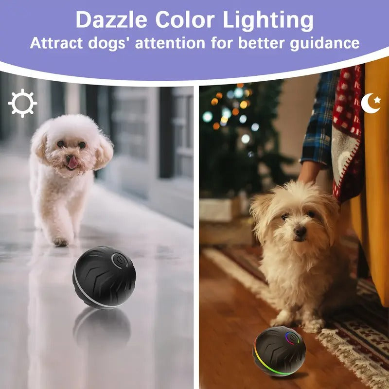 Motion-Activated Dog Bouncing Ball