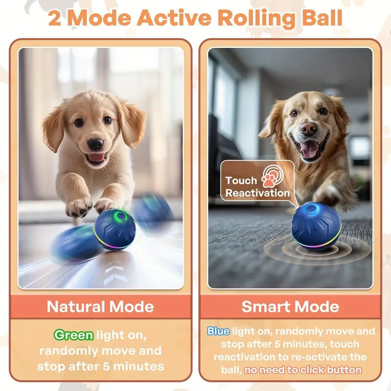 Motion-Activated Dog Bouncing Ball
