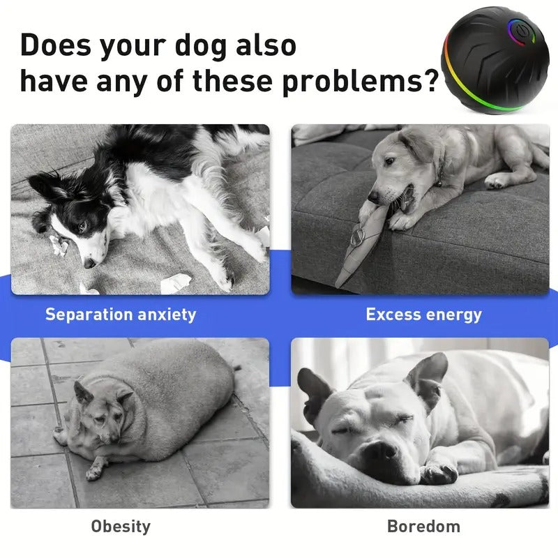 Motion-Activated Dog Bouncing Ball