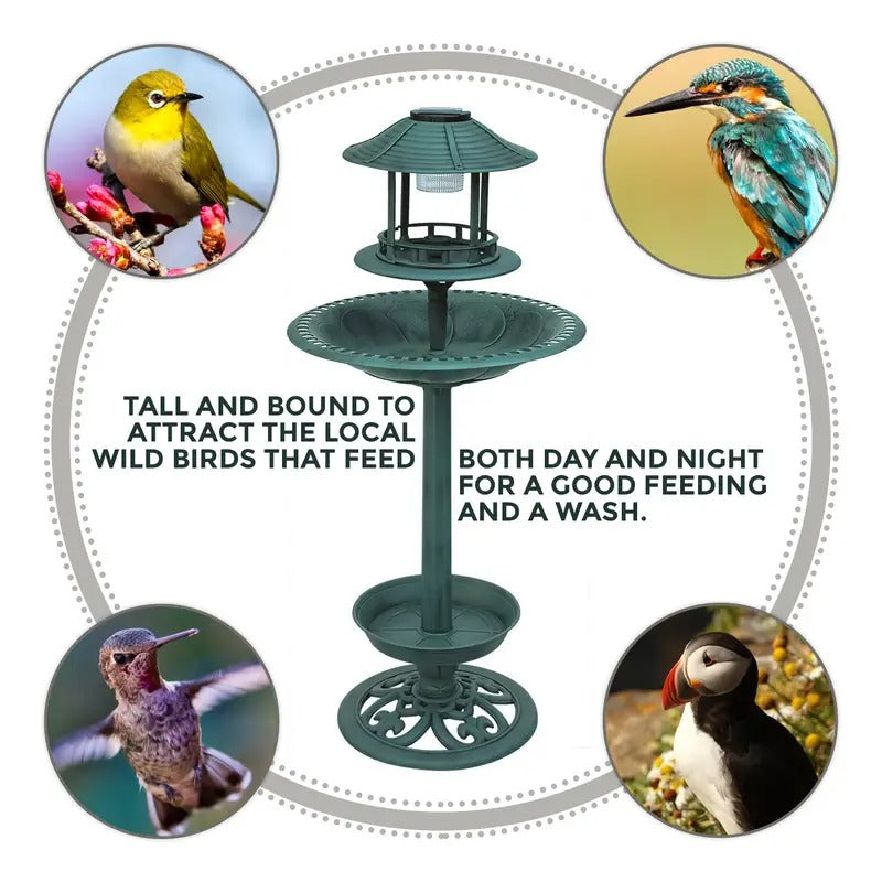 Solar Powered Bird Bath and Feeder Station