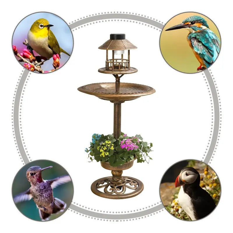 Solar Powered Bird Bath and Feeder Station