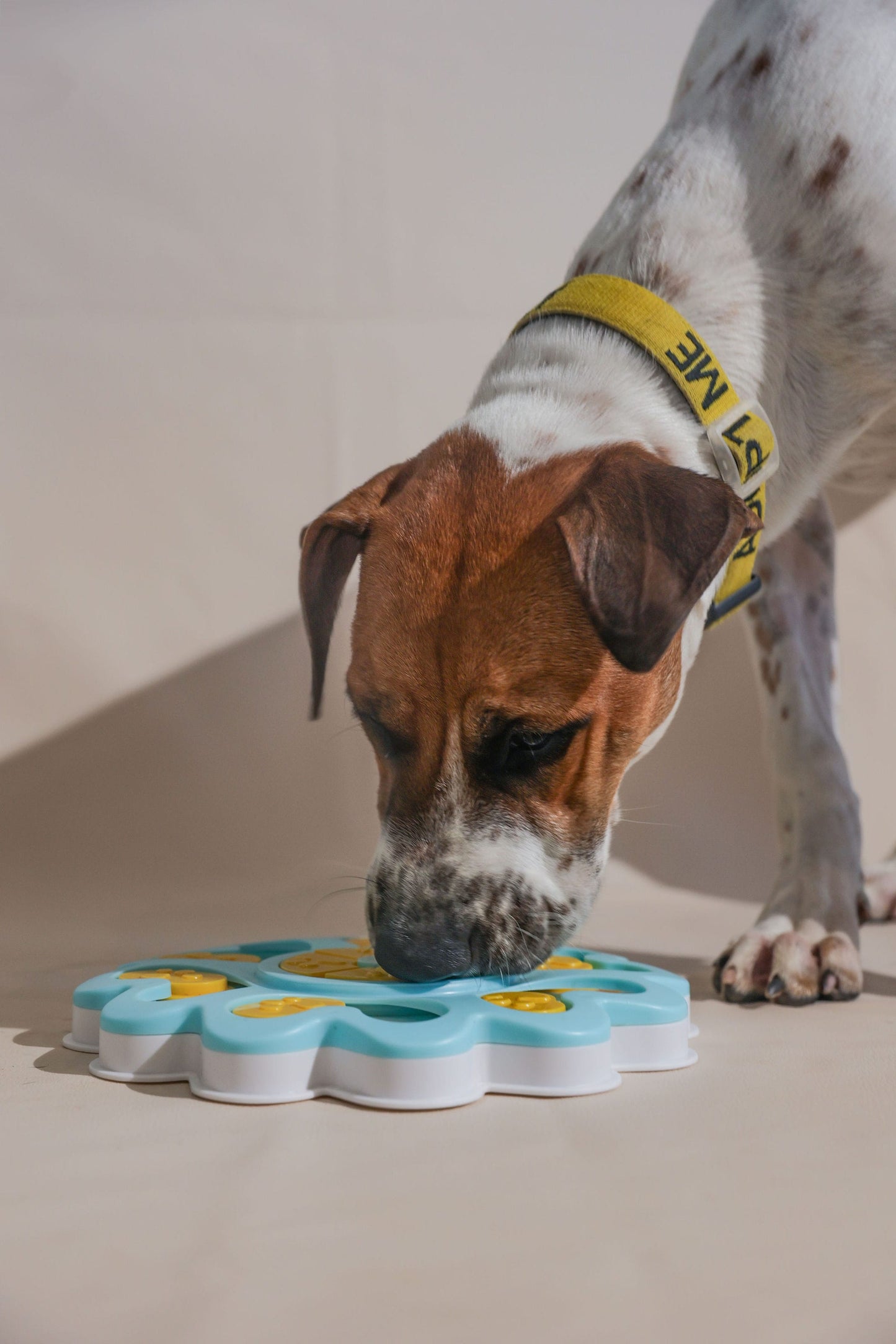 My Store Puppy Dog Puzzle Toy