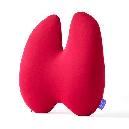 Coussin Lombaire de Soulagement du Dos