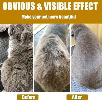 3-in-1 Pet Grooming Brush with Steam Function