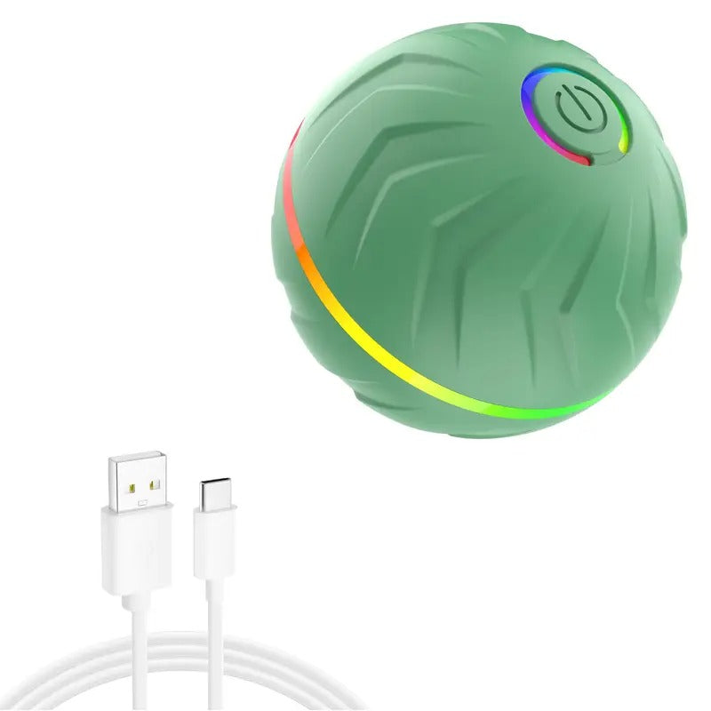 Motion-Activated Dog Bouncing Ball