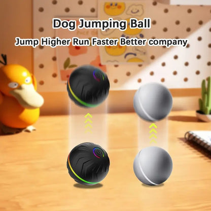 Motion-Activated Dog Bouncing Ball