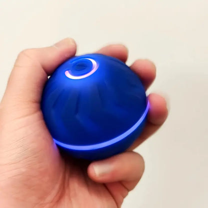 Motion-Activated Dog Bouncing Ball