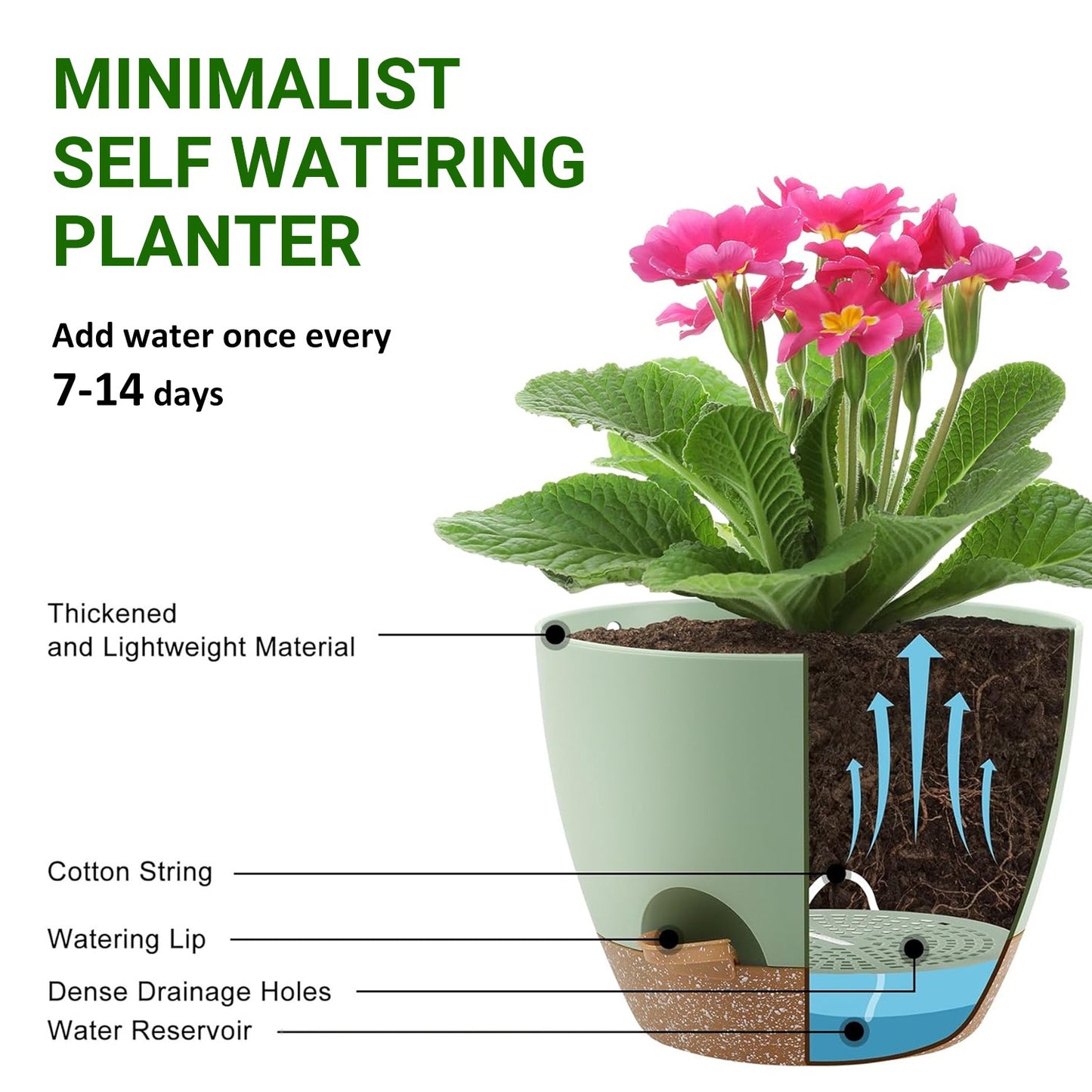 Set of 5 Self-Watering Plant Pots with Drainage