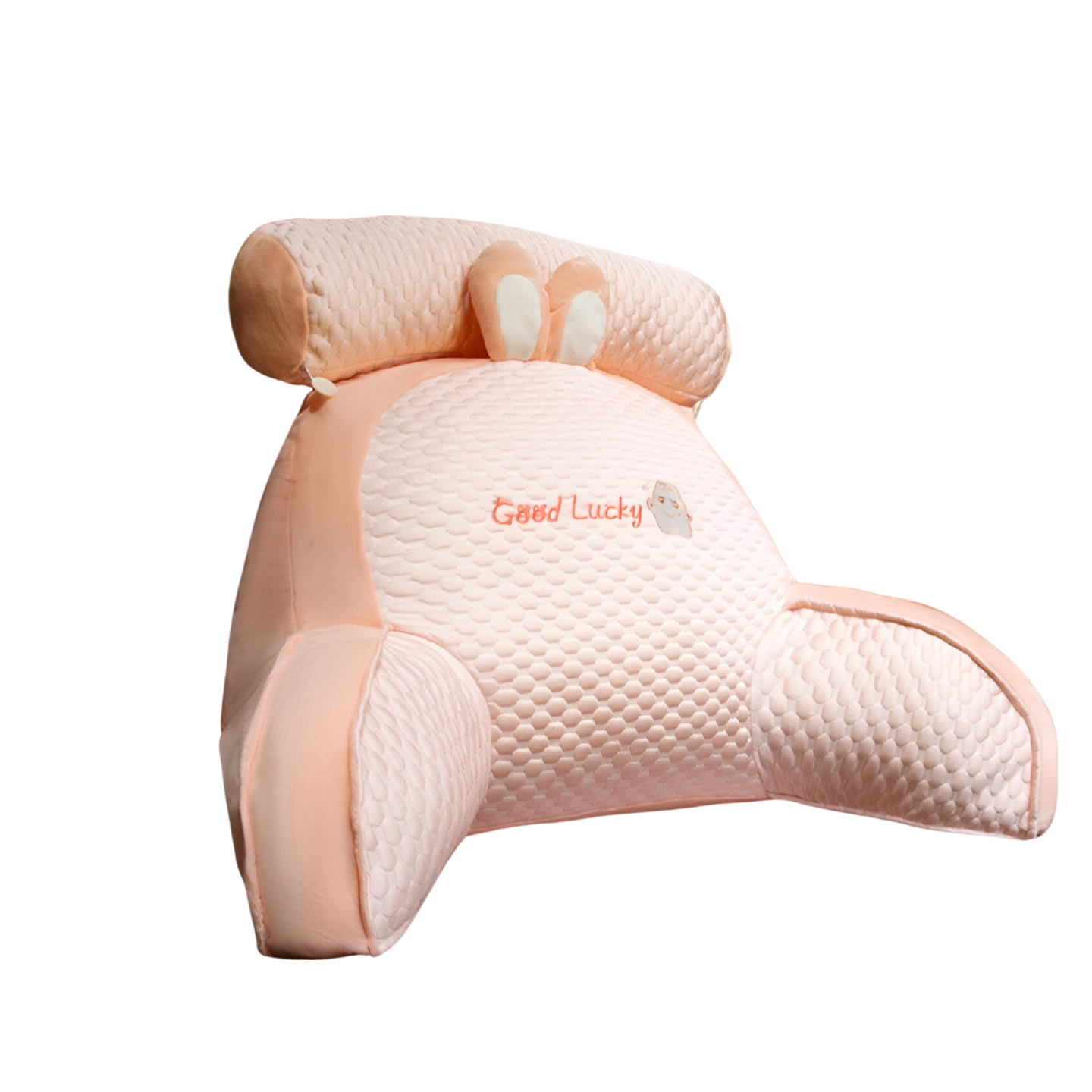 Coussin de Soutien en Soie de Glace