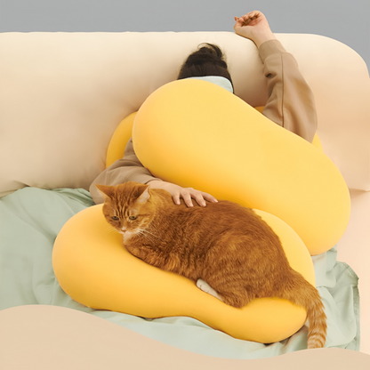 Coussin en Mousse à Mémoire
