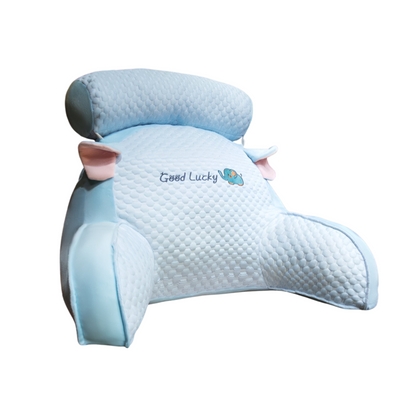 Coussin de Soutien en Soie de Glace